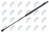 АМОРТИЗАТОР (ГАЗОВА ПРУЖИНА) | L=525MM, F=140N PEUGEOT 206 02-  KOMBI AEPE016