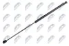АМОРТИЗАТОР (ГАЗОВА ПРУЖИНА) | L=649MM, F=310N OPEL SIGNUM/VECTRA C 02-08 AEPL018