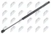 АМОРТИЗАТОР (ГАЗОВА ПРУЖИНА) | L=520MM, F=625N RENAULT SCENIC II 03-08,GRAND SCENIC II 04-09 AERE009