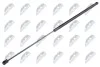 АМОРТИЗАТОР (ГАЗОВА ПРУЖИНА) | L=730MM, F=250N VW GOLF V, GOLF V VARIANT 03-10, JETTA III 04-10 AEVW020