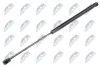 АМОРТИЗАТОР (ГАЗОВА ПРУЖИНА) | L=479MM, F=550N VW GOLF PLUS 05-13 NTY AEVW041 (фото 1)