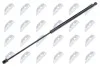 АМОРТИЗАТОР (ГАЗОВА ПРУЖИНА) | L=594MM, F=605N VW TOUAREG 10-18 AEVW065