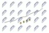 РЕМКОМПЛЕКТ ВПУСКНОГО КОЛЕКТОРА | OPEL ASTRA H 1.9CDTI 2004-,VECTRA C 1.9CDTI 2004-,ZAFIRA B 1.9CDTI 2005-,SAAB 9-3 1.9TID 2004-,9-5 1.9TID 2006-,ALFA ROMEO 147 1.9JTD 2004-,156 1.9JTD 2003-,159 1.9JTDM 2005-,FIAT CROMA 1.9JTD 2005- NTY BKSPL002 (фото 2)