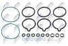 ZESTAW USZCZELEK POMPY WTRYSKOWEJ | /POMPA BOSCH-TYP CP1/ALFA ROMEO/BMW/FIAT/FORD/CITROEN/OPEL/SUZUKI/PEUGEOT/IVECO/KIA/RENAULT/LANCIA/HYUNDAI/MERCEDES/LAND ROVER/SMART/JEEP BWPVW011
