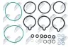 ZESTAW USZCZELEK POMPY WTRYSKOWEJ | /POMPA BOSCH-TYP CP1/ALFA ROMEO/BMW/FIAT/FORD/CITROEN/OPEL/SUZUKI/PEUGEOT/IVECO/KIA/RENAULT/LANCIA/HYUNDAI/MERCEDES/LAND ROVER/SMART/JEEP NTY BWPVW011 (фото 2)