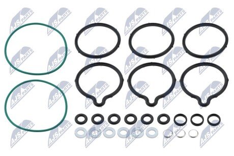 ZESTAW USZCZELEK POMPY WTRYSKOWEJ | /POMPA BOSCH-TYP CP1/ALFA ROMEO/BMW/FIAT/FORD/CITROEN/OPEL/SUZUKI/PEUGEOT/IVECO/KIA/RENAULT/LANCIA/HYUNDAI/MERCEDES/LAND ROVER/SMART/JEEP NTY BWPVW011 (фото 1)
