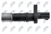 ДАТЧИК ПОЛОЖЕННЯ ВАЛУ | ENG.1.6-2.5H TOYOTA AURIS,AVENSIS,CAMRY,C-HR,COROLLA,PRIUS,RAV 4 III/IV,VERSO, LEXUS CT,ES,GS,IS III,NX,RC, 2006- NTY ECPTY010 (фото 3)