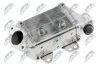 РАДІАТОР EGR | FIAT 500 1.3JTD 2007-,DOBLO 1.3JTD 2004-,GRANDE PUNTO 1.3JTD 2005-,PANDA 1.3JTD 2003-,ALFA ROMEO MITO 1.3JTD 2011- NTY EGRFT006A (фото 1)