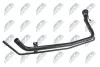 ЗАЛИВНА ГОРЛОВИНА БАКУ ДЛЯ ПАЛЬНОГО | TOYOTA LAND CRUISER 120 3D 3.0D4D 02-09, 4.0V6 5D 02-09 NTY PWPTY022 (фото 2)
