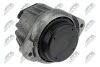 ПОДУШКА ДВИГУНА | ENG.1.6D,2.0D BMW 1 E81/82/87/88 04-13, 3 E90/91/92/93 05-13, X1 E84 09-15, Z4 E89 11-16 /ПЕРЕД/ NTY ZPSBM009 (фото 2)