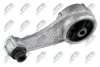 ПОДУШКА ДВИГУНА | RENAULT CLIO 1.2,1.4,1.8 -98, KANGOO 1.4,1.9D 97- /ЗАД/ NTY ZPSRE085 (фото 2)