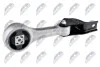 ПОДУШКА ДВИГУНА | VW POLO 1.4TDI 05-09, FOX 1.4TDI 05-, SKODA FABIA I/II 1.4TDI 05-10, ROOMSTER 1.4TDI 06-10, SEAT IBIZA IV 1.4TDI 05-09, CORDOBA 1.4TDI 05-09 /ЗАД/ NTY ZPSVW023 (фото 1)