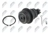 ШАРОВА ОПОРА ПІДВІСКИ | CHRYSLER SEBRING 07-, DODGE JOURNEY 09-, AVENGER 07- NTY ZSDCH021 (фото 2)