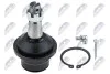 ШАРОВА ОПОРА ПІДВІСКИ | FORD F150/F250/F350 04-14, EXPEDITION III 07-, LINCOLN NAVIGATOR III 07-, MARK LT F6 04-08, /ПЕРЕД НИЗ/ ZSDFR008