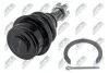ШАРОВА ОПОРА ПІДВІСКИ | TOYOTA LAND CRUISER 200 UZJ/VDJ200 07-, LEXUS LX570 07-, TUNDRA 06- /ПЕРЕД НИЗ/ NTY ZSDTY086 (фото 2)