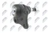 ШАРОВА ОПОРА ПІДВІСКИ | VW GOLF IV 97-04, BORA 98-05, JETTA II 05-, NEW BEETLE 98-, AUDI A3 96- /ПЕРЕД НИЗ ЛІВ/ NTY ZSDVW004 (фото 2)