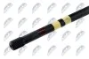 ВАЖЕЛЬ ПІДВІСКИ | CITROEN BERLINGO 96-, XSARA PICASSO -05, PEUGEOT PARTNER 96-, 405 -96 /32/30 1030/22MM ЗАД ПРАВ/ NTY ZWTCT014 (фото 2)