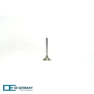 Впускний клапан OE Germany 020520280000
