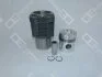 Поршень з гільзою DEUTZ DEUTZ FAHR D F2L912 01.68- OE Germany 040329912004 (фото 1)