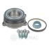 Wheel Bearing Kit 402505L1