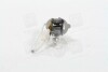 Лампа фарна H3 12v 100w Pky22s (вір-во) OSRAM 64153 (фото 4)