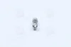 Лампа софітних допоміж. освітлення C10W 12V 10W SV8.5-8 OSRAM 6438 (фото 2)