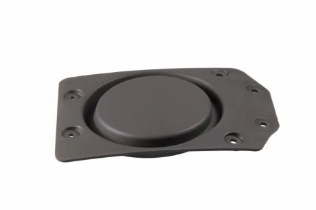 Елемент бампера (заглушка) передн внутрішн Лів/Прав SCANIA G I, P I, P,G,R,T, R I, T 03.04- PACOL BPC-SC021R/L