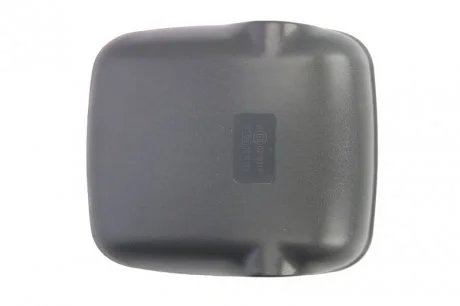 Корпус зеркала заднего вида PACOL MAN-MR-043R