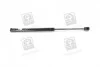 Амортизатор багажника AVEO T200 HB (вір-во Parts-Mall) PQC-202