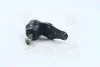 Опора кулька. DAEWOO LANOS передн. вісь, нижн. (вір-во) PARTS-MALL PXCJC-001 (фото 1)