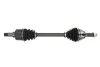Приводний вал передн Лів 620мм (новий) FORD B-MAX, FIESTA, FIESTA V, FIESTA VI, FUSION 1.25-1.6 11.01- PASCAL G2G057PC (фото 1)