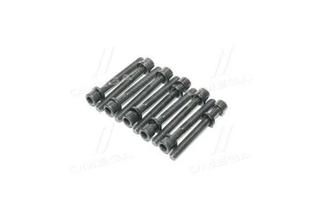 Болти головки блоку Payen HBS043