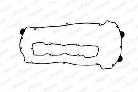 Комплект прокладок клап.кришки Payen HM5070 (фото 1)