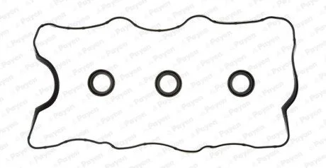 Набір прокладок кришки головки циліндра Payen HM5250