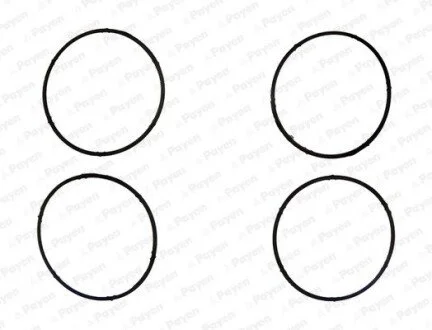 Прокладка колектора впускного VW Caddy III 1.6i 04-15 Payen JD6095 (фото 1)
