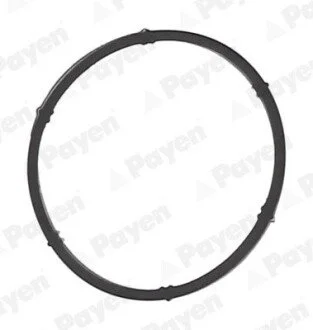Прокладка колектора AUDI /SEAT / VW / SKODA Payen JD6171