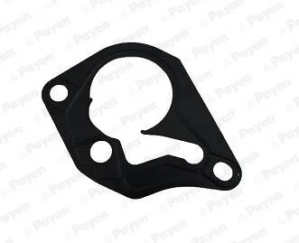Прокладка вакуумного насоса Renault 1.5/1.9dci 01- Payen KK5643