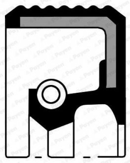 Кольцо вала, фланец ступенчатой коробки передач FIAT 36x54x10/13,5 ACM Payen NA5480