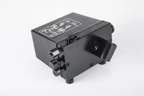 Насос PE AUTOMOTIVE 10360300A (фото 1)