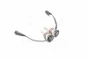 Автолампа світлодіодна PHILIPS 11366U50CWX2 (фото 3)
