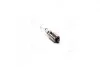 Лампа накалювання H21W12V21WBAY9s (вір-во Philips) 12356CP