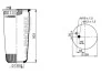 Пневмоподушка PHOENIX 1 DF 19 B-1 NP (фото 4)