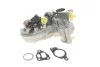 Радіатор масляний ALFA ROMEO / CHEVROLET / CITROEN / FIAT / FORD / LANCIA / OPEL / PEUGEOT 7.03622.06.0