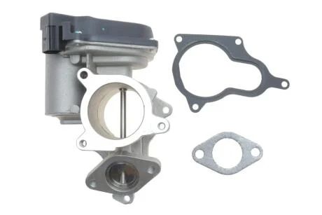 Клапан EGR PIERBURG 7.10334.10.0 (фото 1)