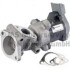 Клапан EGR 7.24809.96.0
