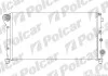 Радіатор охолодження 300308A3