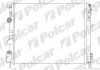 Радиатор охлаж. двигателя Renault Kangoo, 1.2, 09.98- 601508A5