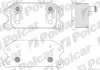 Радіатор масла Polcar 9042L81 (фото 1)