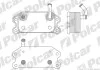 Радіатор масла Polcar 9080L81 (фото 1)