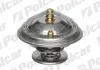 Термостати GALAXY 95-00 Polcar U6L819I (фото 1)